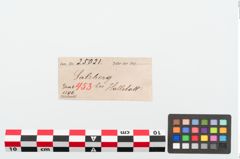 Etiketten zu Bronzebügelbesatzfibel (NHMW-PRAE-025021)